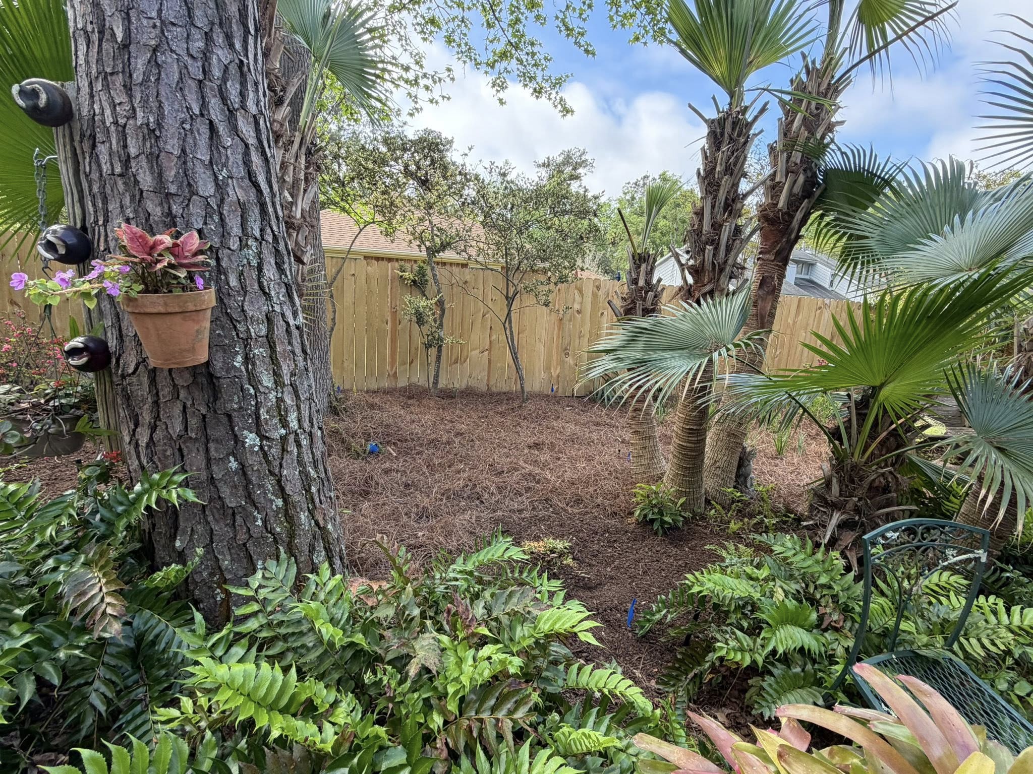 Lush Northshore landscape