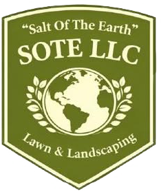 SOTE LLC logo