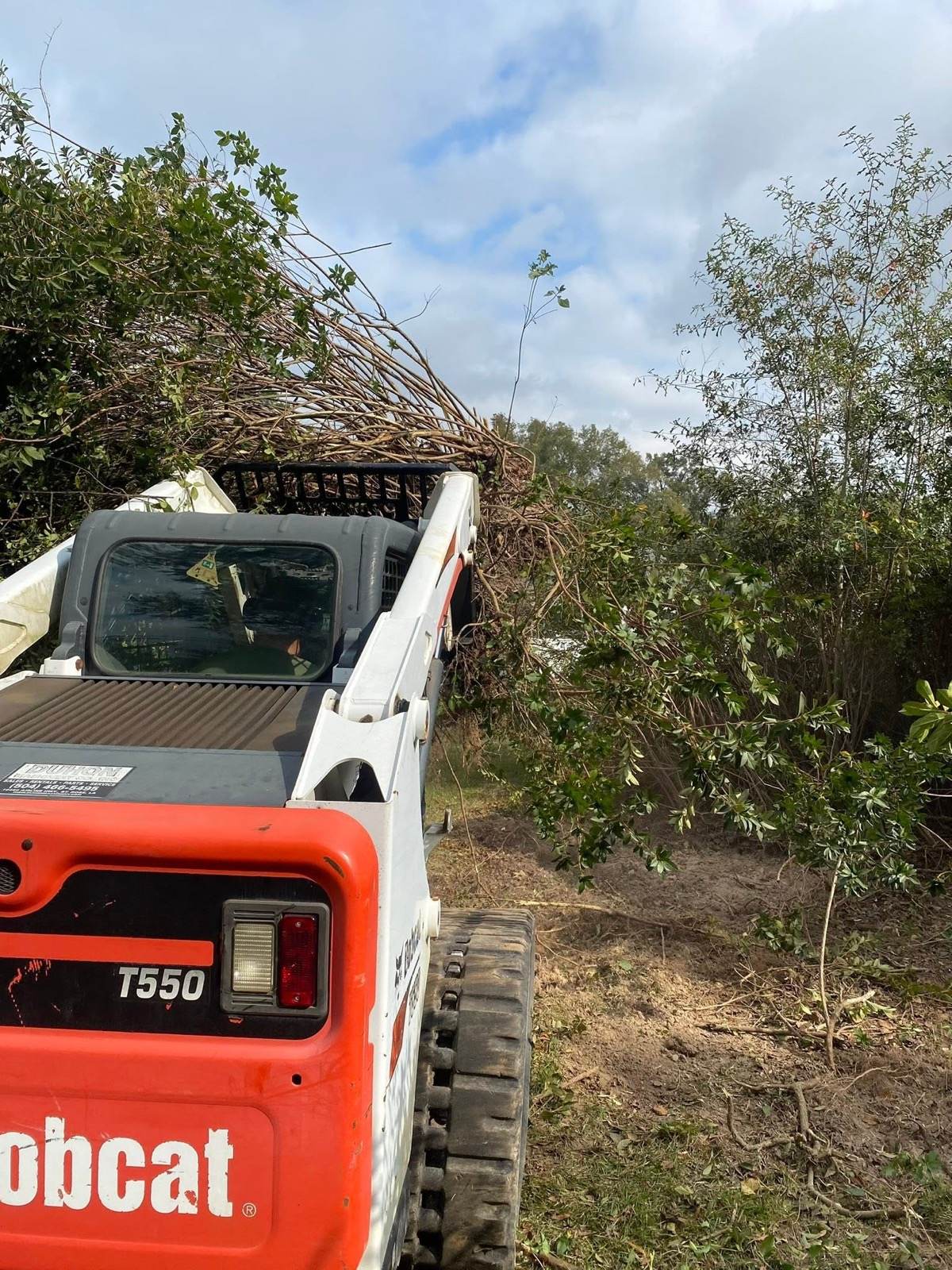 SOTE tracked Bobcat skid steer hauling cleared brush and branches off an overgrown Northshore property